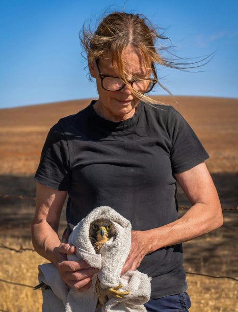 Burra, South Australia (Photography: Jake Norris)