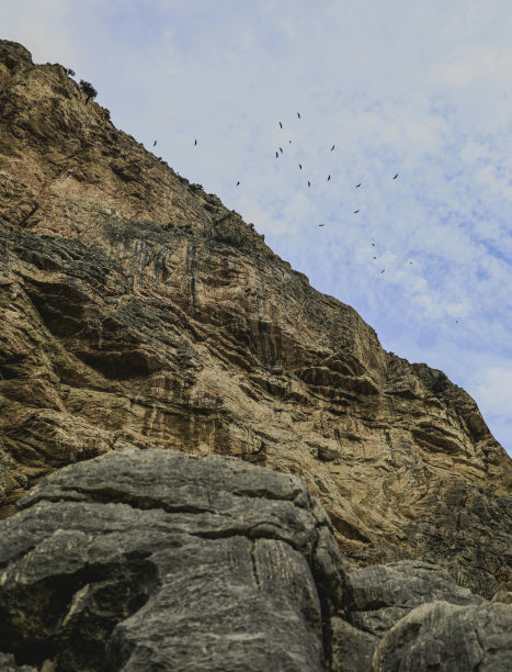 Our Australian Heritage Promise